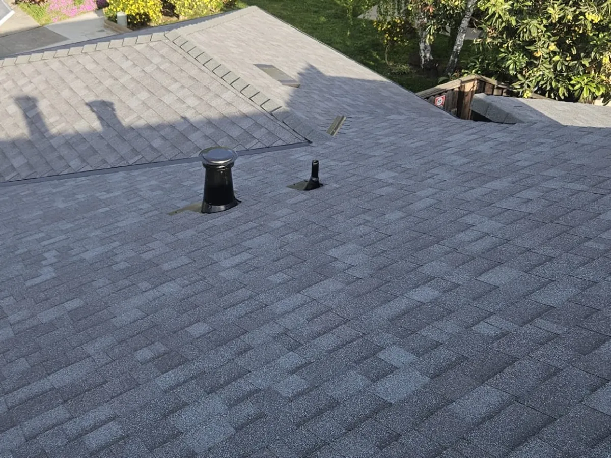 Shingle roof edge over the yard of a Bay Area home